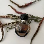 دیور پویزن گرل - Dior - Poison Girl - Image 2